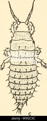 Archiv Bild ab Seite 182 Der Kultur und Krankheiten der Stockfoto