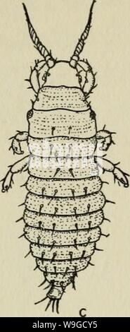 Archiv Bild ab Seite 182 Der Kultur und Krankheiten der Stockfoto
