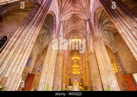 Berühmte Allerheiligsten Tempel in Guadalajara (Templo Expiatorio del Santisimo Sacramento) Stockfoto