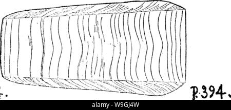 Archiv Bild ab Seite 245 von einem Wörterbuch der Fossilien Stockfoto