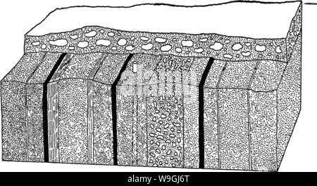 Archiv Bild ab Seite 245 der Geologie der Narragansett Becken Stockfoto