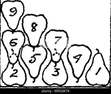 Archiv Bild ab Seite 280 Der Enzyklopädie von praktischen Gartenbau; Stockfoto