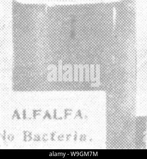 Archiv Bild von Seite 280 des Buches von Luzerne; Geschichte, Stockfoto