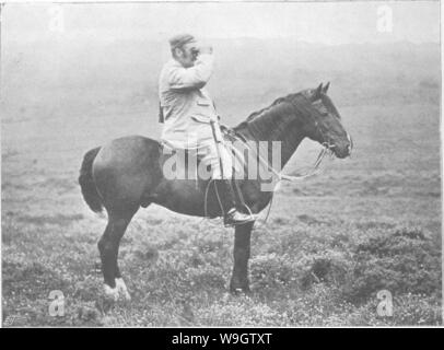 Archiv Bild ab Seite 358 der Punkte des Pferdes; ein Stockfoto