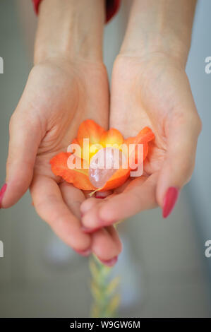 Weibliche hand mit roten Maniküre Holding transparent violett Amethyst yoni Ei für vumfit, imbuilding oder Meditation in Orange und Gelb gladiolus Stockfoto