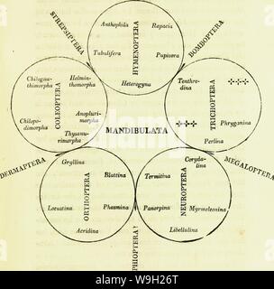 Archiv Bild ab Seite 480 Eine Einführung in die Entomologie, oder, Stockfoto