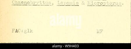 Archiv Bild ab Seite 551 Der aktuelle Bibliographie für Aquatic Sciences. Aktuelle Bibliographie für Aquatic Sciences und Fischerei currentbibliogra 2610 Essen Jahr: 1959 (59-7290 (Karte 2) FREQ uently. Schluss mit Vorbehalt, dass die schleimhäute Falten reduziert die effektive prÃdation ÐªÑ die Gemeinsame gefleckte Muränen. ÐÐ'Ð³ t, VÂ" ich cÃlister 59-7294 FAG, hev/Marshall, N. (1959) 59-7292 jcoloy, 40s 298 Oyster im Connecticut Niantic Hiver J J oÐªtained auf cultch in der Nähe der Oberfläche Bericht der Betrieb getragen. & J.4 ueen (1959.) Ã] CO Logie; 4 C r 30 5-6 Sauerstoff Anomalien in der Brandung in der Nähe von Coos Bay J Oreg Stockfoto