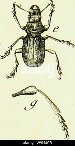 Archiv Bild ab Seite 578 von Histoire abregée des Insectes (1762) Stockfoto