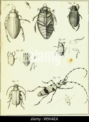 Archiv Bild ab Seite 574 von Histoire abregée des Insectes (1762) Stockfoto