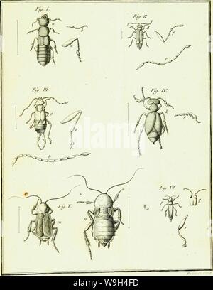 Archiv Bild ab Seite 582 von Histoire abregée des Insectes (1762) Stockfoto