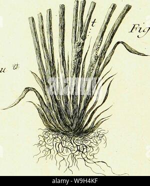 Archiv Bild ab Seite 588 von Histoire abregée des Insectes (1762) Stockfoto