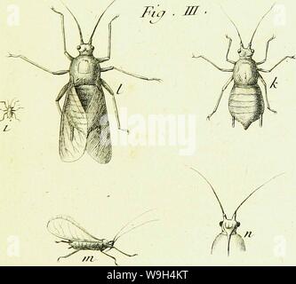 Archiv Bild ab Seite 588 von Histoire abregée des Insectes (1762) Stockfoto