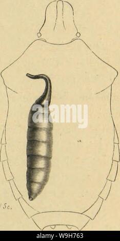 Archiv Bild von Seite 724 des moeurs et Métamorphoses Instinkte des Stockfoto