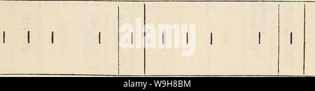 Archiv Bild ab Seite 848 der Kultur und der Herstellung von Baumwolle. Kultur und Herstellung von Watte.. culturemanufactu 00 Ost Jahr: 1836 (00 CO VO CO o1&gt;00 1&gt; CD oo o CO di d 00 O O lO I I CO o 00 CO r o'A3 Stockfoto