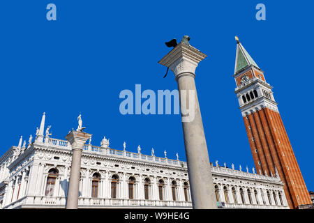 Campanile & Löwe von Venedig, Piazza San Marco, Venedig, Italien Stockfoto