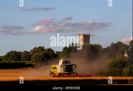 Ein Mähdrescher arbeitet in einem Feld in der Nähe von Little Milton in Oxfordshire. Stockfoto