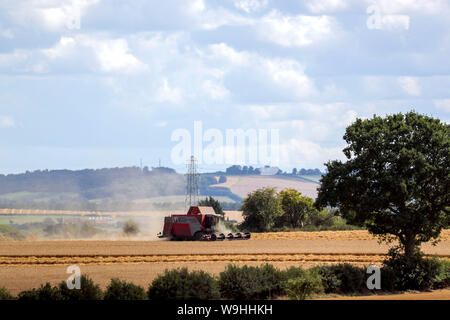 Ein Mähdrescher arbeitet in einem Feld in der Nähe von Great Haseley in Oxfordshire. Stockfoto