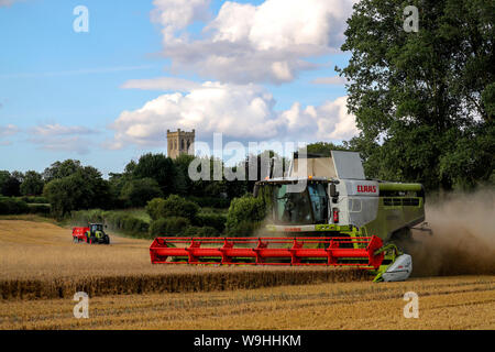 Ein Mähdrescher arbeitet in einem Feld in der Nähe von Little Milton in Oxfordshire. Stockfoto