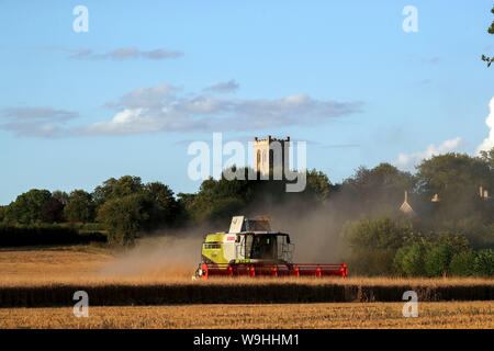 Ein Mähdrescher arbeitet in einem Feld in der Nähe von Little Milton in Oxfordshire. Stockfoto
