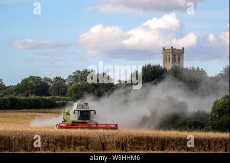 Ein Mähdrescher arbeitet in einem Feld in der Nähe von Little Milton in Oxfordshire. Stockfoto