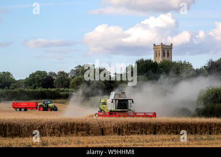 Ein Mähdrescher arbeitet in einem Feld in der Nähe von Little Milton in Oxfordshire. Stockfoto