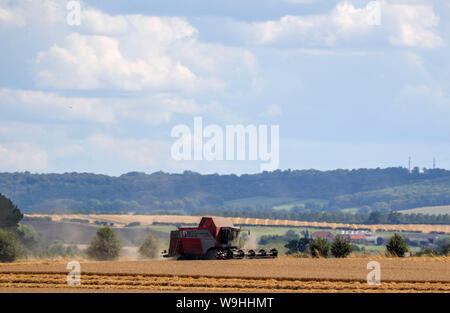Ein Mähdrescher arbeitet in einem Feld in der Nähe von Great Haseley in Oxfordshire. Stockfoto