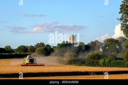 Ein Mähdrescher arbeitet in einem Feld in der Nähe von Little Milton in Oxfordshire. Stockfoto