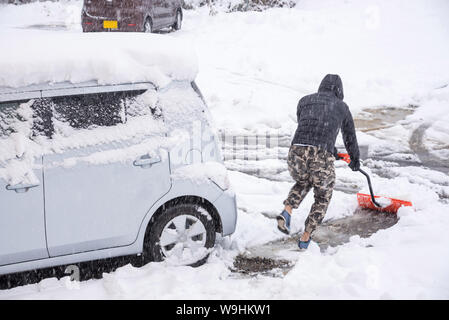 Frische weiße Schnee auf öffentlichen Park Abdeckung Straße und Auto im Winter am Kawaguchiko, Japan. Stockfoto