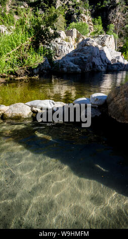 Hot Springs am Fluss im Schatten an der Deep Creek Hot Springs in Kalifornien, USA. Stockfoto