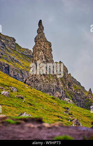 Die storr (Strs) Stockfoto