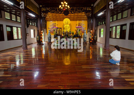 Truc Lam Pagode, Dalat, Vietnam, Asien, 30074561 Stockfoto