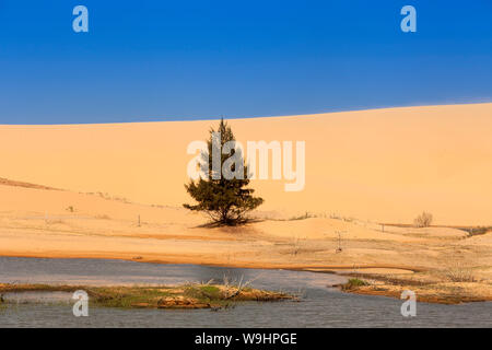 Sanddünen in der Nähe von Phan Rang, Ninh Thuan, Vietnam, Asien, 30074612 Stockfoto