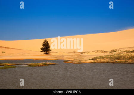 Sanddünen in der Nähe von Phan Rang, Ninh Thuan, Vietnam, Asien, 30074614 Stockfoto