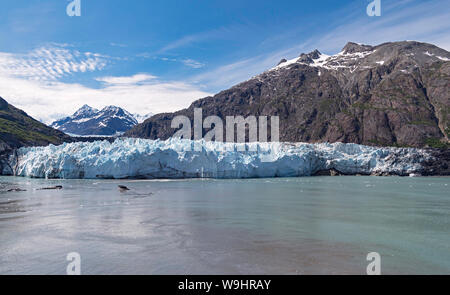 Panorama der Meile - breite margerie Gletscher in Alaska mit Mt fairweather in Kanada im Hintergrund auf einem selten klaren Tag Stockfoto