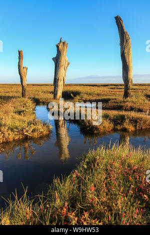 Die Reste der alten Hafen von Thornham Stockfoto