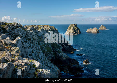 Camaret-sur-Mer. Tas de Pois von Pointe de Pen-Hir, Halbinsel Crozon. Finistère. Frankreich Stockfoto