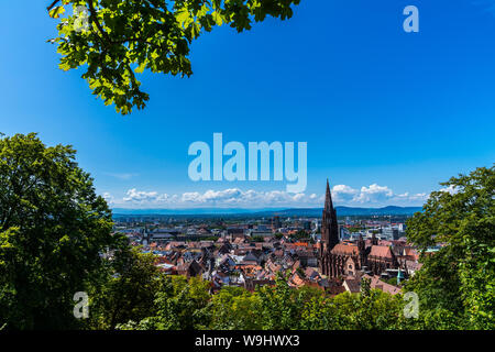 Deutschland, über Dächer und alten gotischen Münster Gebäude der beliebten Studentenstadt Freiburg im Breisgau im Sommer unter einer grünen Baum ohne Gerüst Stockfoto