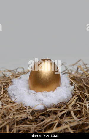 Goldenes Ei in einem nest Stockfoto