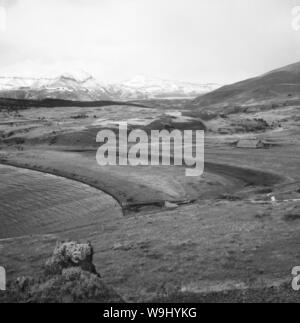 Nahe des Lago Azul in Chile, 1960er Jahre. In der Nähe von Lago Azul See in Chile, 1960. Stockfoto