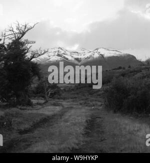 Nahe des Lago Azul in Chile, 1960er Jahre. In der Nähe von Lago Azul See in Chile, 1960. Stockfoto