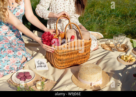 Picknick mit Obst, Käse, Toast, Honig, Wein mit einem Weidenkorb und eine Decke. Schönen Sommer Hintergrund mit Mädchen und Produkte auf die Natur Stockfoto