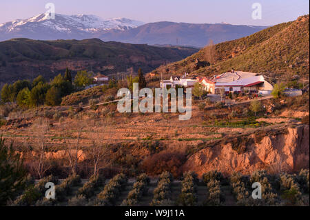 Europa, auf der Iberischen Halbinsel, Spanien, Andalusien, Purullena, Badlands, 30074310 *** Local Caption *** Europa, auf der Iberischen Halbinsel, Spanien, Spanisch, Andalusien, Süd, Purullena, Stockfoto