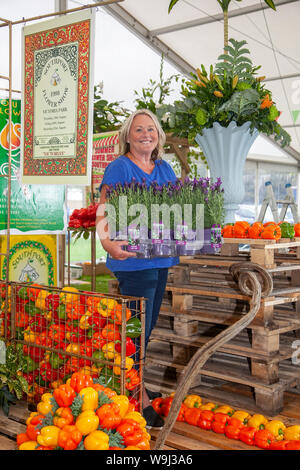 Southport, Merseyside. UK Wetter. 14 Aug, 2019. Laura O'Malley macht den letzten Schliff an Exponaten und Displays im Jahr 2019 zeigen. Southport Flower Show ist der größte unabhängige Flower Show im Land. Für seine spektakuläre Show Gärten und Grand floral Festzelt bekannt und Bewunderer" Züchter und florale Kunst Wettbewerbe. Weiter schlechtes Wetter und starker Regen ist über das Wochenende, welche Wirkung die Teilnahme an den anläßlich des 90. Veranstaltung dieser Prognose. Credit: MWI/AlamyLiveNews Stockfoto