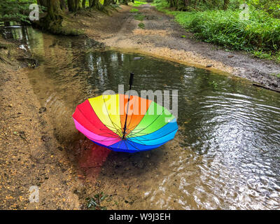 An einem regnerischen Tag auf der Heide, Ponys, miserabel. Labrador Hunde mit großen Stock und Regenbogen Regenschirm auf den Kopf spielen im Stream. Kredit Suzanne McGowan/Alamy Nachrichten Stockfoto