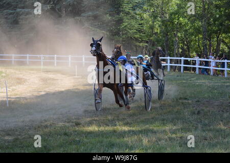 Pferderennbahn in Sault, Provence-Alpes-Côte d'Azur - Frankreich. 11. August 2019. Das einzige Pferd Rennen im Jahr Stockfoto