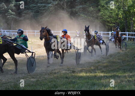 Pferderennbahn in Sault, Provence-Alpes-Côte d'Azur - Frankreich. 11. August 2019. Das einzige Pferd Rennen im Jahr Stockfoto