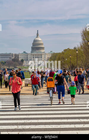 Blick auf die National Mall im Frühling, Capitol Gebäude im Hintergrund sichtbar, Washington DC, District of Columbia, Vereinigte Staaten von Amerika Stockfoto