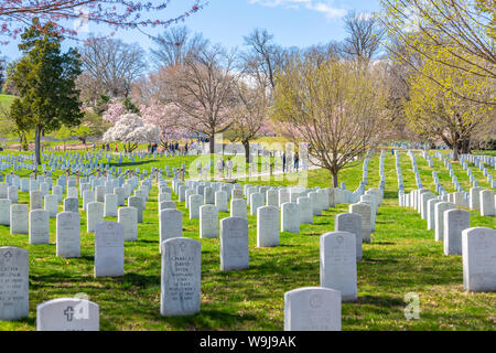 Blick auf die Grabsteine in den nationalen Friedhof von Arlington, Washington DC, District of Columbia, Vereinigte Staaten von Amerika Stockfoto