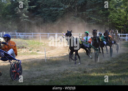 Pferderennbahn in Sault, Provence-Alpes-Côte d'Azur - Frankreich. 11. August 2019. Das einzige Pferd Rennen im Jahr Stockfoto