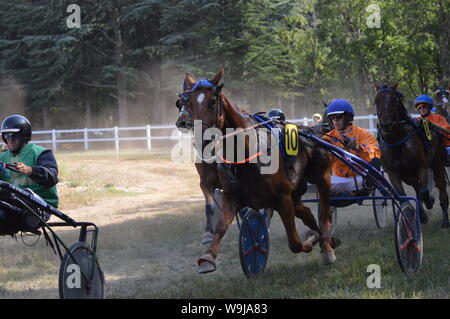 Pferderennbahn in Sault, Provence-Alpes-Côte d'Azur - Frankreich. 11. August 2019. Das einzige Pferd Rennen im Jahr Stockfoto